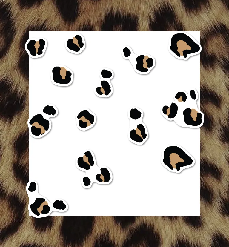 Kit Leopardo