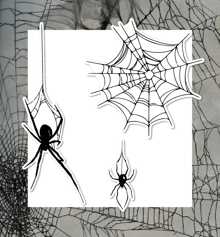 Kit Spiderweb